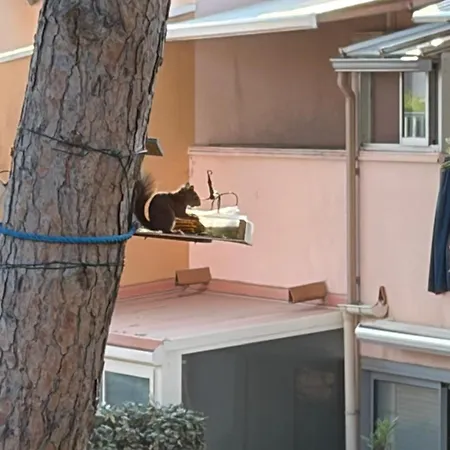 équipé Village Naturiste à 100 M Agde